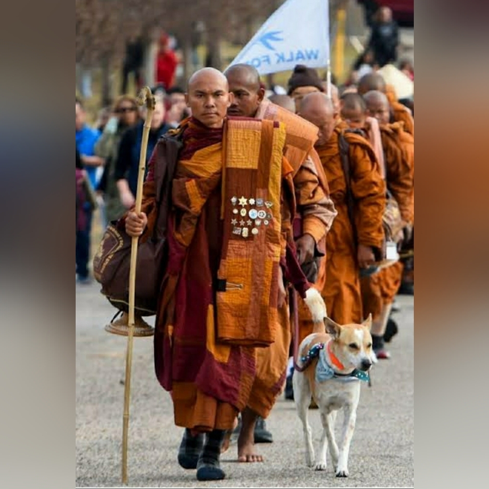 πΈWalk For PeaceπΈππ£πΏπππ - Picture 5 of 16